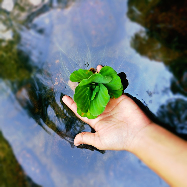 sustainable water