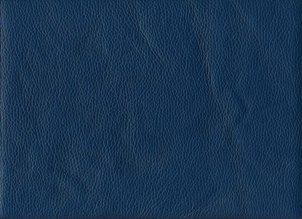 Indigo